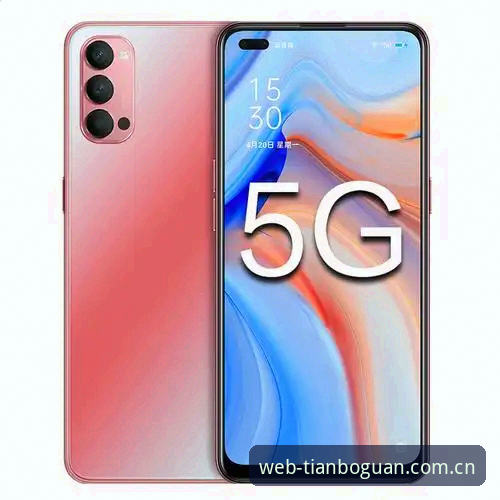 天博官网网页APP下载直接装 vs 网页端凑合用：45.8 MB的差距在哪里？